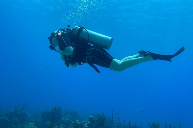Open Water Diver - Bávaro - Pool sessions: 5 skill blocks that build confidence