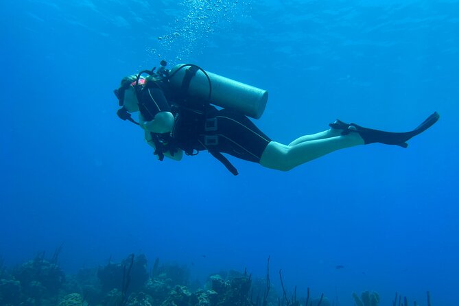Open Water Diver - Bávaro - Open-water sessions in Punta Cana: 4 checkouts and the 18m limit