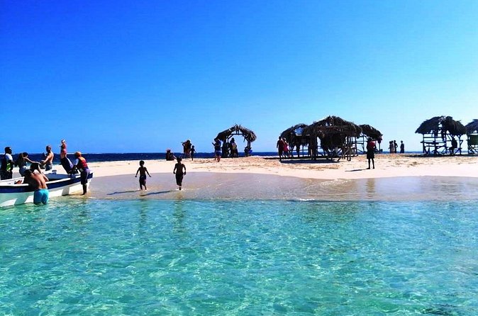 Paradise Island & Mangroves Tour - The coast road to Punta Rucia and back: lunch stop rhythm and what to expect