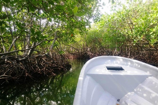Paradise Island & Mangroves Tour - Crew energy matters: guide names and the value of good translation