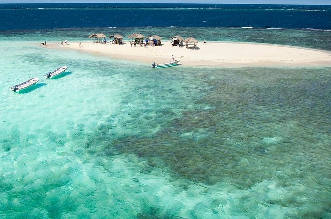 Paradise Island & Mangroves Tour - Value check: does $89 buy a real experience or just a long ride?