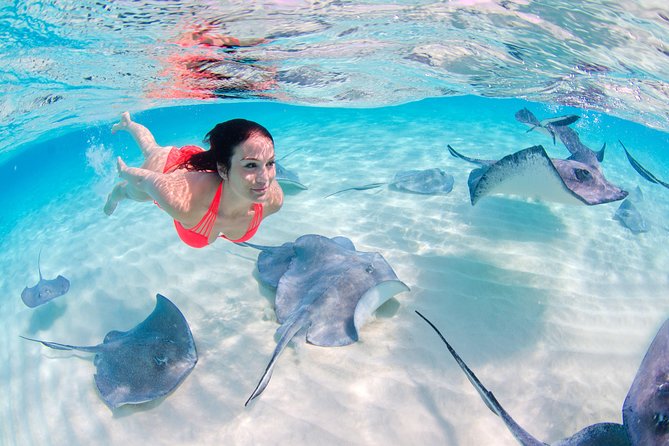 Parasailing, Snorkel Cruise & Virgen Beach from Punta Cana - Price and value: when $159 per person feels fair