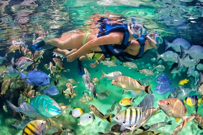 Party Boat - Booze Cruise Punta Cana - What You’re Really Buying: a 4-Hour Party Cruise With Snorkel Time