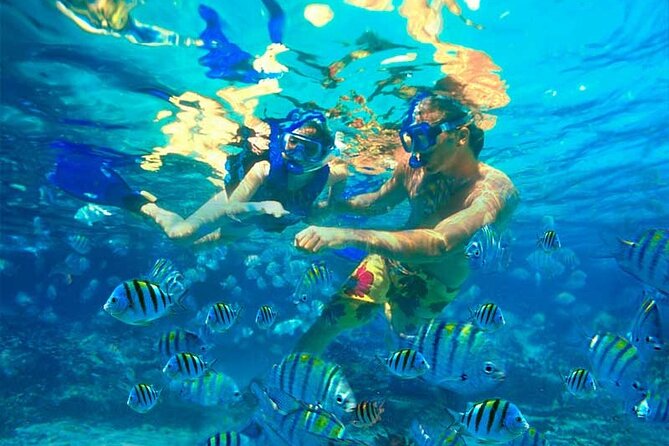 Party Boat Catamaran with Snorkeling from Punta Cana - Slides, Music, Dancing, and the Open-Bar Reality
