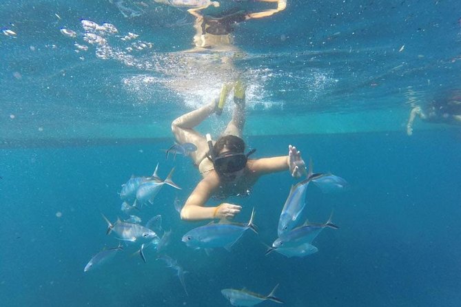 Party boat in Catamaran with Open Bar Only Adults + Snorkeling - Price and value: is $52.25 a good deal?