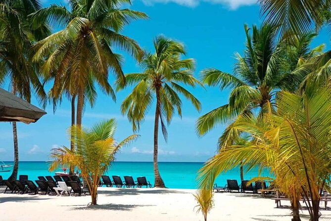 Perfect Day at Saona Island by Speedboat - Completely Private - Key things to know before you go