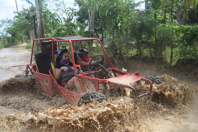 Platinum Buggy Adventure - Key points to know before you book