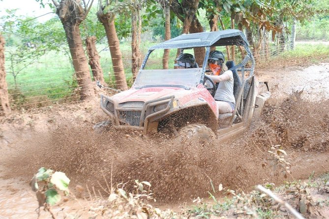 Platinum Buggy Adventure - Punta Cana buggy basics: what you’re really signing up for