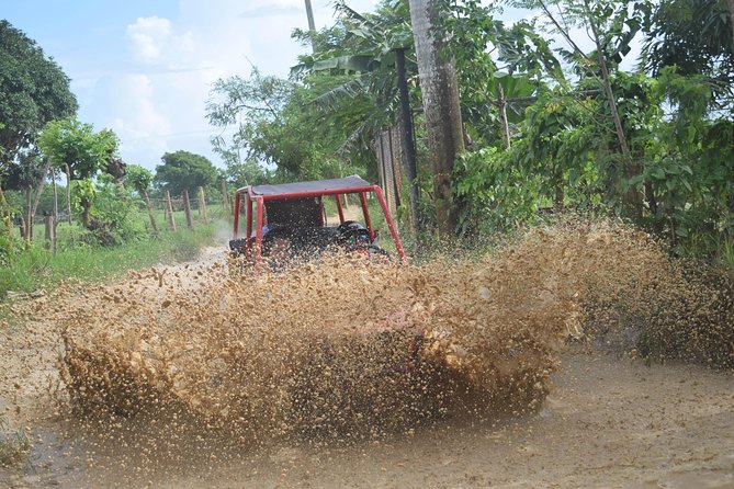 Platinum Buggy Adventure - The “one hiccup” reality: what that single cancellation story means for you