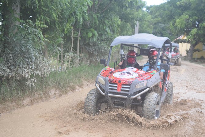 Platinum Buggy Adventure - Should you book the Platinum Buggy Adventure?