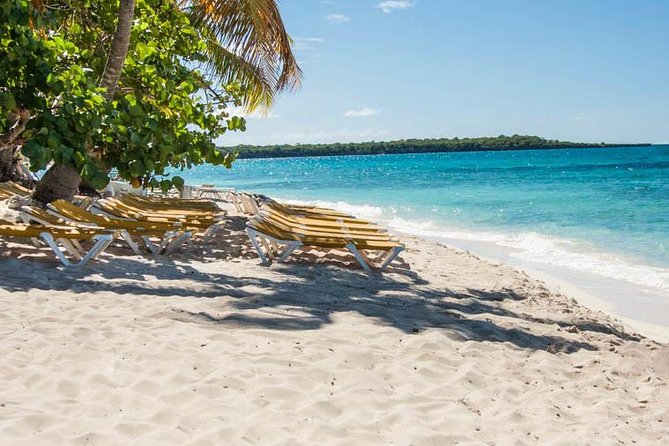 Platinum Catalina Island and Chavon River - Catalina Island free time: beach choices and how to use your afternoon