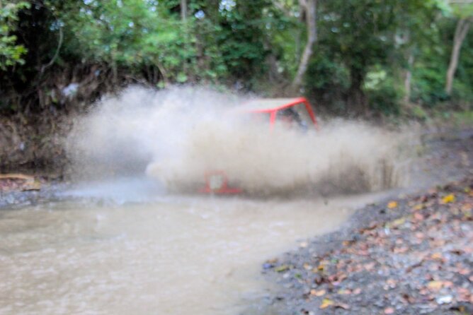 Pop Buggy Excursion from Amber Cove and Taino Bay Puerto Plata - Bergantín Beach and Food Reality: The Cash Tip You Shouldn’t Ignore