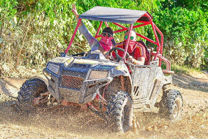 Predator Buggies Tour in Punta Cana - Should you book the Predator Buggies tour in Punta Cana?