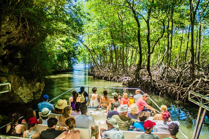 PRIVATE: 3in1 - Los Haitises N.P. + Y. Waterfall + Mount. Redonda - Key highlights you’ll care about