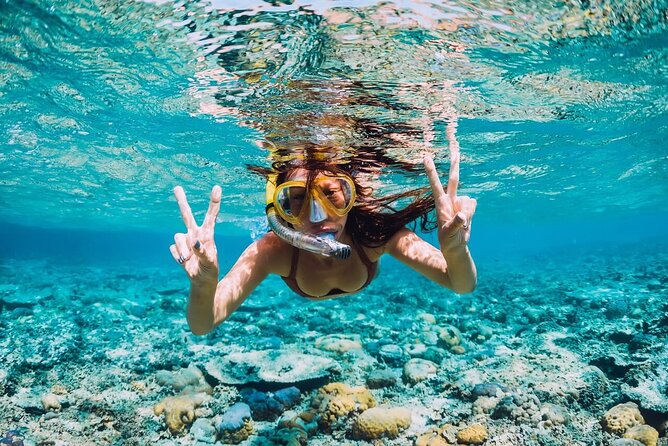 Private Activity Speedboat Ride and Snorkeling in Punta Cana - The Big Idea: Speedboat Energy Meets Punta Cana’s Water Time