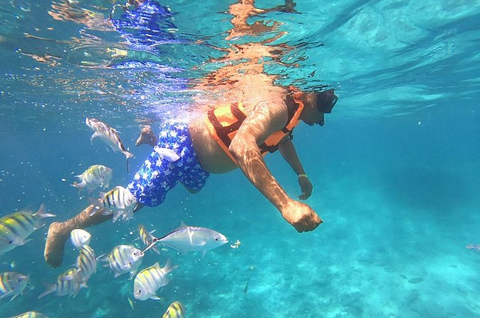 Private Activity Speedboat Ride and Snorkeling in Punta Cana - Snorkeling Setup: Gear Is Included, So You Can Focus on Water Time