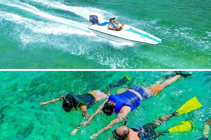 Private Activity Speedboat Ride and Snorkeling in Punta Cana - Private Means You Set the Tone for the Day