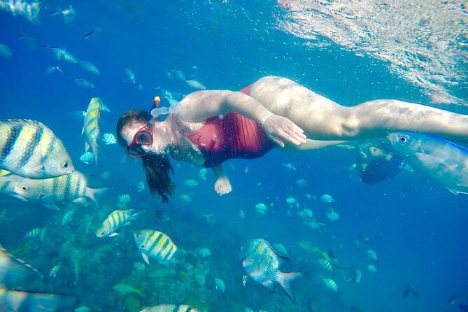 Private all-inclusive snorkeling at sosua beach. - Stop 1: Sosua Beach waters and why starting in the bay helps