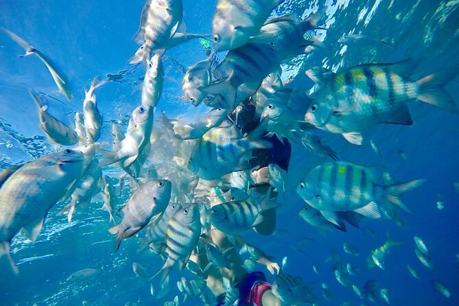 Private all-inclusive snorkeling at sosua beach. - What comes after snorkeling: rum, pina coladas, and a Dominican buffet