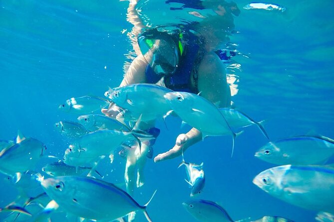 Private all-inclusive snorkeling at sosua beach. - The Ismael Transfer Tours touch: fun ride, culture talk, and attention to what you need