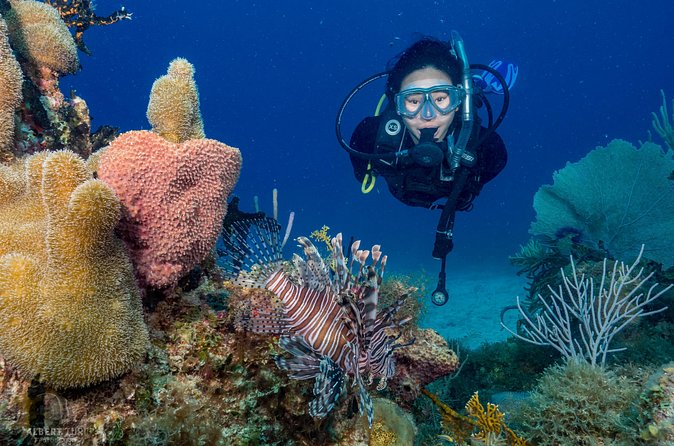 Private Bayahibe 3 Tank Diving with Lunch from Punta Cana - Who this private charter fits best (and who should skip it)