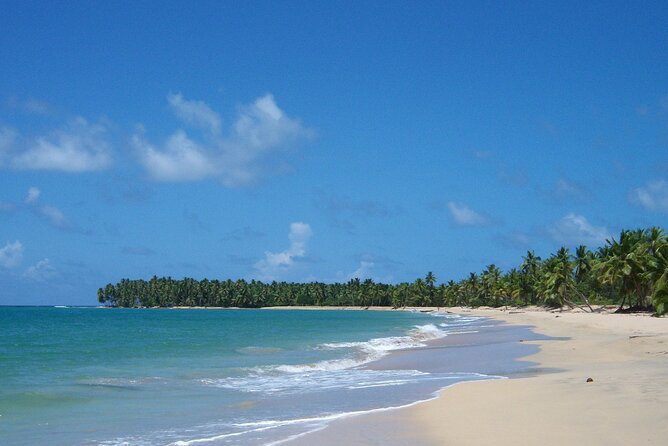 Private Boat Nature Tour of Limón Beach and Lagoon - Key Things I’d Focus On