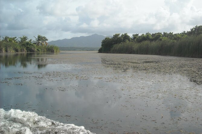 Private Boat Nature Tour of Limón Beach and Lagoon - Pickup, Timing, and How the Day Actually Flows