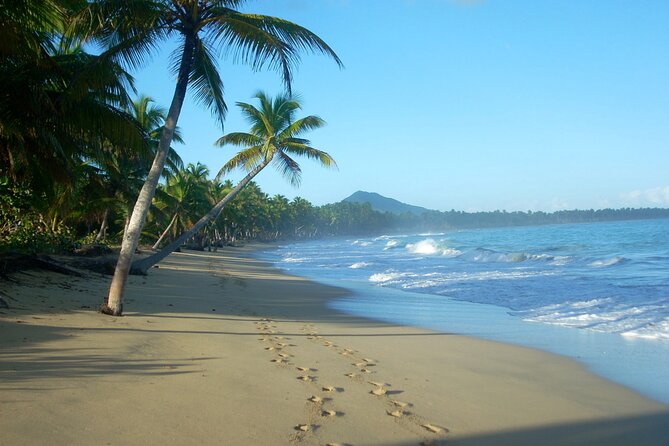 Private Boat Nature Tour of Limón Beach and Lagoon - Weather, Water, and What to Do if Plans Change