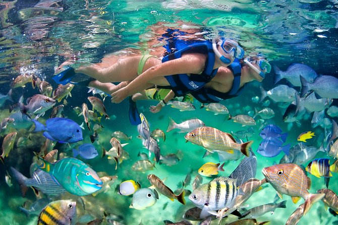 Private Catamaran Snorkeling Family Adventure - Pickup, Transfers, and One Common Snag With Hotel Loops