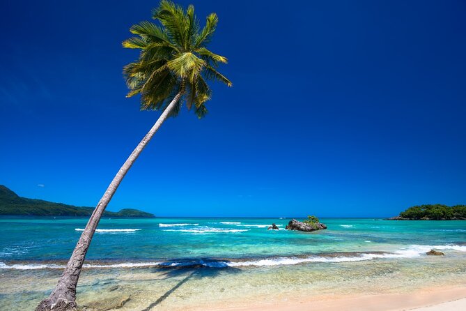 Private Full Day Beach Tour in Puerto Plata - Stop 1: The Cocoa Break in Rio San Juan