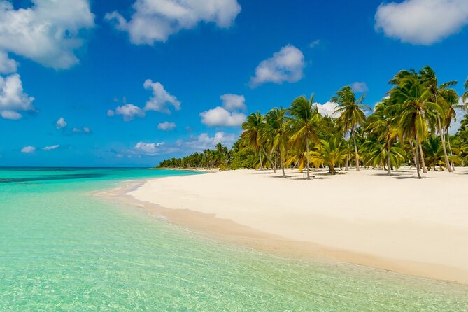 Private Full Day Beach Tour in Puerto Plata - Price and Value: Why This Tour Works at $80