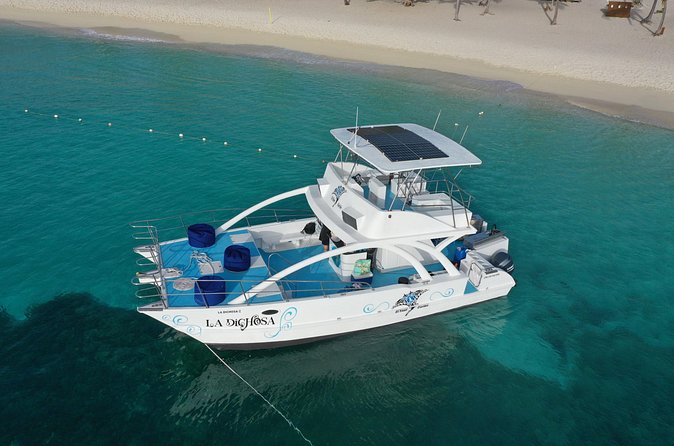 Private Full Day Charter to Saona Island from Punta Cana - Peñon Reef: where turtles and stingrays turn the snorkeling into the highlight