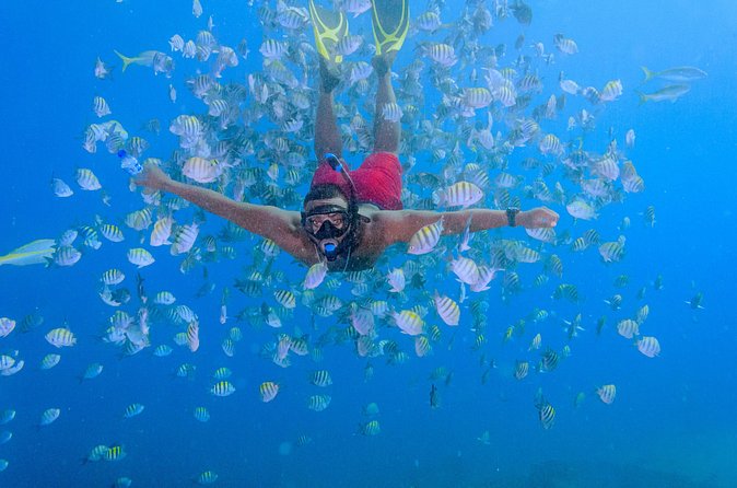 Private Full Day Charter to Saona Island from Punta Cana - Saona Island free time: beach walking, old pier swimming, souvenirs