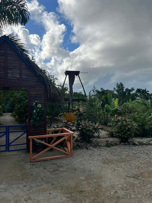 Private Half Day Tour in Punta Cana-Higüey with Local Guide - The long drive that’s part of the point
