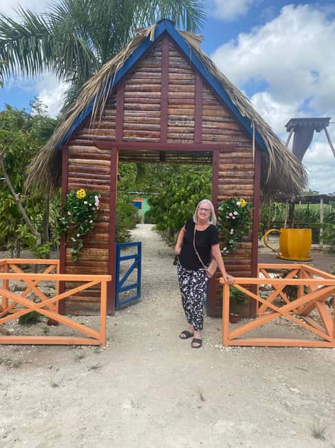 Private Half Day Tour in Punta Cana-Higüey with Local Guide - Plantation time: coffee, cocoa, and the work behind the flavor