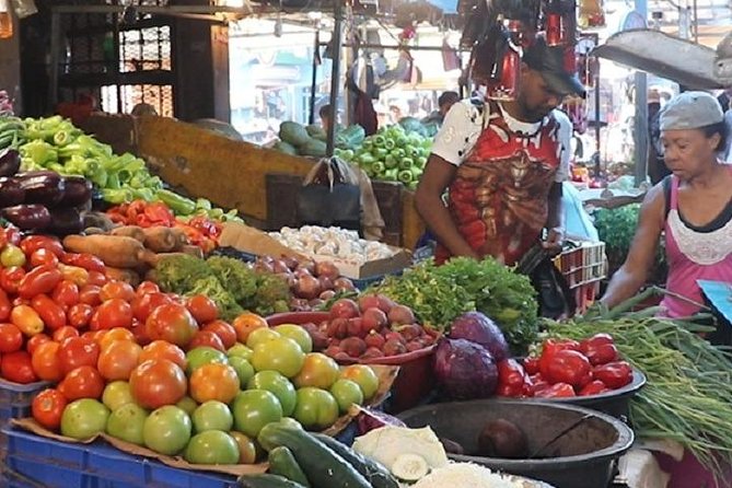 Private Higuey City Tour Real Life in Punta Cana (Half Day) - Coffee, cocoa, and cigar country: why this stop matters beyond souvenirs
