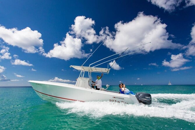 Private Isla Saona Boat Tour – Snorkeling Premium Drinks & Buffet - Who This Tour Fits (and Who Might Want Alternatives)