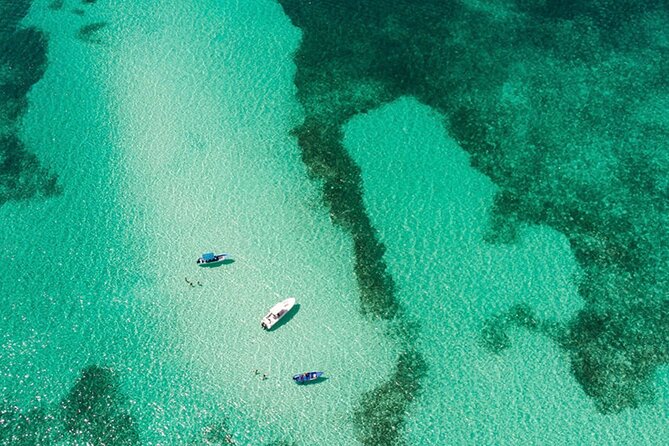 Private Isla Saona Boat Tour – Snorkeling Premium Drinks & Buffet - The 8-Hour Day: Pickup, Marina Time, and a Clear Start