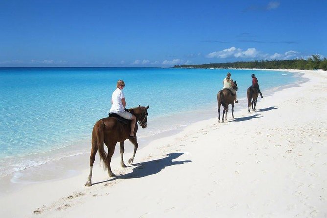 Private Macao Beach horseback riding in punta cana and Bayahibe - Key Highlights You’ll Actually Care About