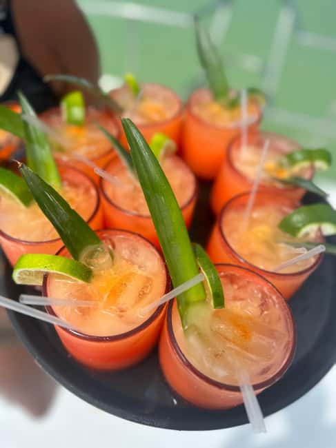 Private Party Boat Tour with Drinks and Snacks in Punta Cana - Pickup From Your Hotel: What to Expect and Why It Matters