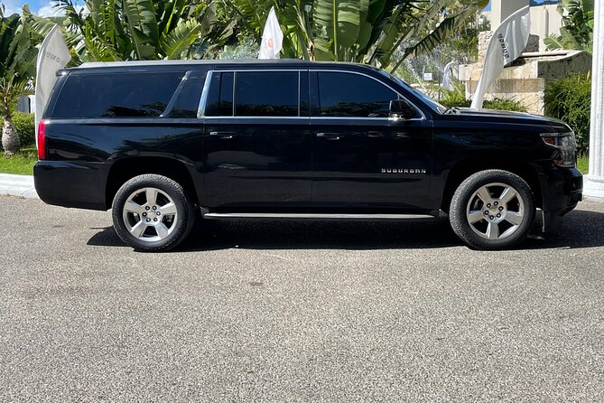 Private Puerto Plata Airport Transportation - Who should book this transfer