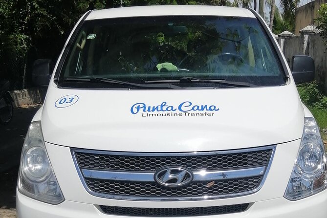 Private Round Trip Airport Transfer Bavaro Hotels - The arrival routine at Punta Cana Airport (and how to avoid the runaround)
