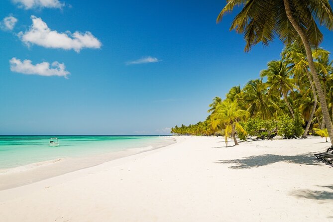 Private Saona Island Excursion - Key things that make this Saona day different