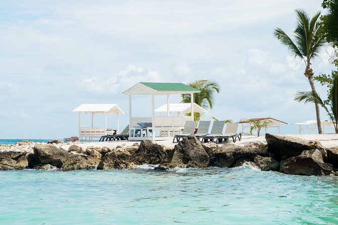 Private Saona Island Excursion - Snorkeling and sea life: easy option, not a forced agenda