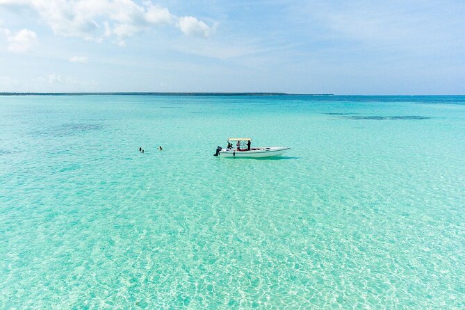 Private Saona Island Excursion - The speedboat ride: comfort, timing, and motion sickness reality