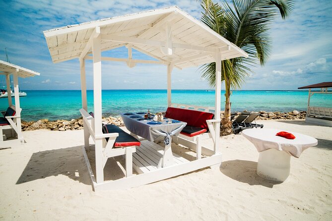 Private Saona Island Excursion - Who this Saona trip is best for
