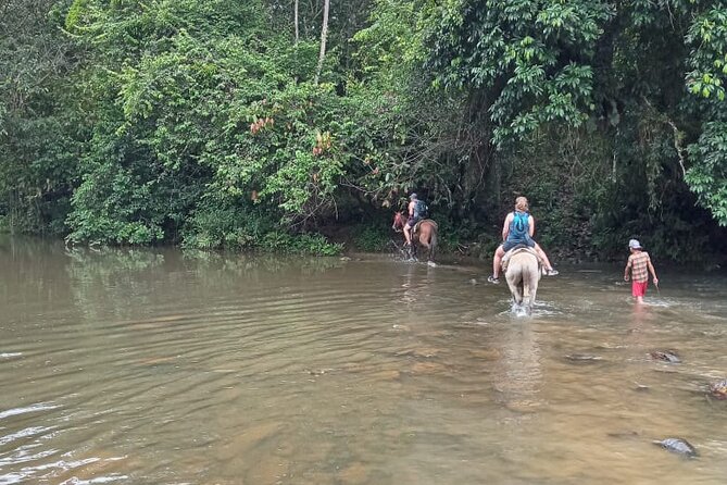 Private Tour in Miches with La Jarda Waterfall Experience - Why Miches, and Why Start at 6:30am
