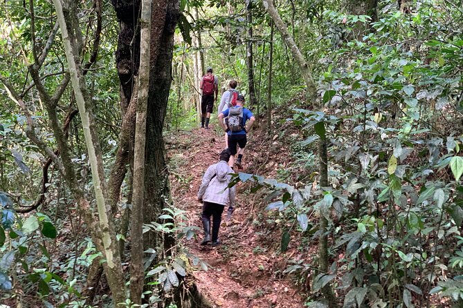 Private Tour in Miches with La Jarda Waterfall Experience - Lunch and the Real-Life Pace of a 10-Hour Day