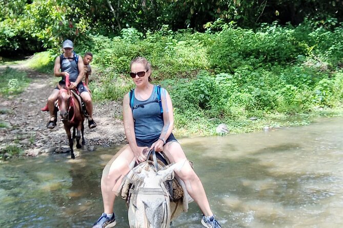 Private Tour in Miches with La Jarda Waterfall Experience - Price and Value for a Private Tour in Punta Cana