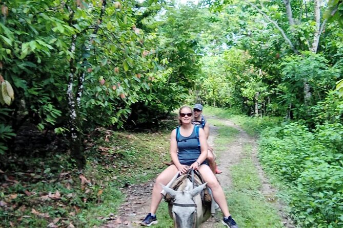 Private Tour in Miches with La Jarda Waterfall Experience - The Coffee and Cacao Forest Paths You Actually Walk